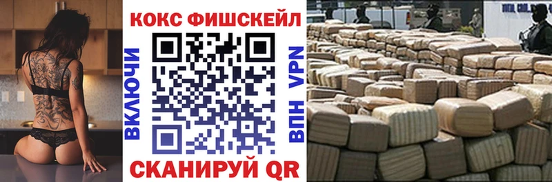 магазин  наркотиков  Каргат  Кокаин Fish Scale 