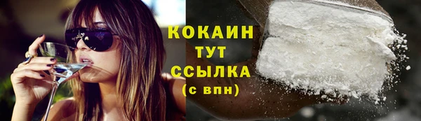 прущие грибы Гусь-Хрустальный