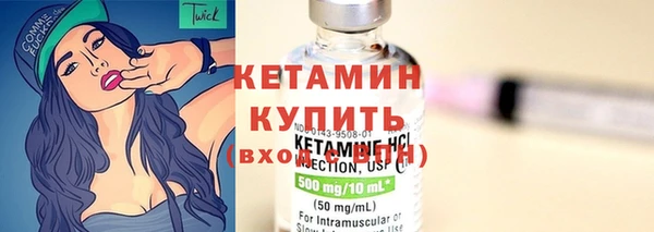 прущие грибы Гусь-Хрустальный