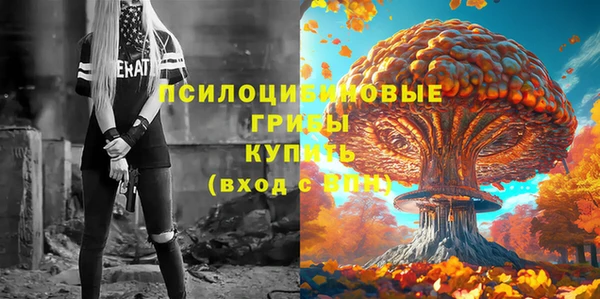 mix Дмитров