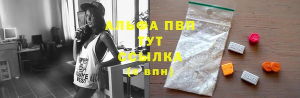 спиды Дмитриев